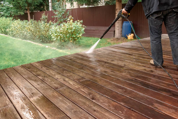Trusted Pamplico, SC Pressure Washing Services Experts
